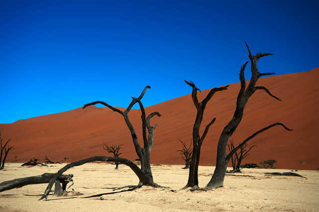 Iconic Deadvlei in Namibia