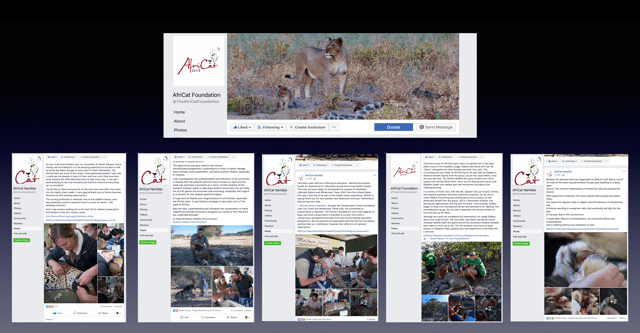 Simons images being used by AfriCat on their website