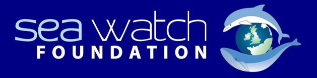 The Sea Watch Foundation Charity Logo